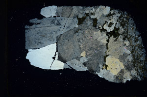 Cross Polarized, S88923