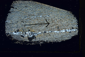 Cross Polarized, S88924
