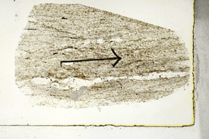 Plane Polarized, S88924