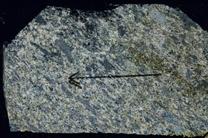 Cross Polarized, S88926