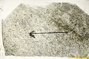 Plane Polarized, S88926