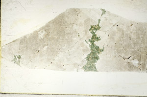 Plane Polarized, S88927