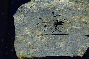 Cross Polarized, S88928