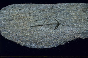 Cross Polarized, S88931
