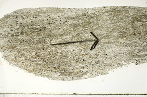 Plane Polarized, S88931