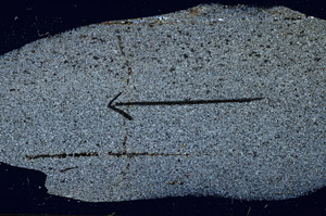 Cross Polarized, S88933