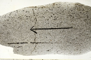 Plane Polarized, S88933