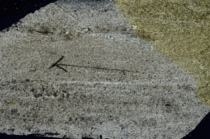 Cross Polarized, S88934