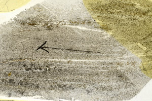 Plane Polarized, S88934