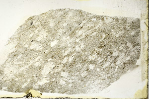 Plane Polarized, S88935