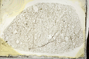 Plane Polarized, S88945
