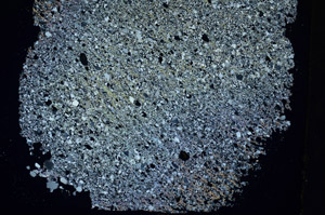 Cross Polarized, S88947