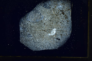 Cross Polarized, S88949