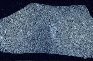 Cross Polarized, S88951