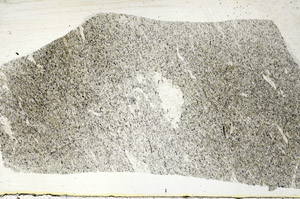 Plane Polarized, S88951