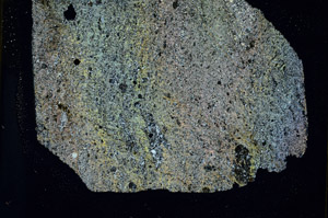Cross Polarized, S88952