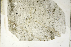 Plane Polarized, S88952