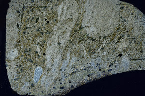 Cross Polarized, S88953