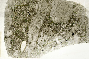 Plane Polarized, S88953