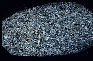 Cross Polarized, S88955