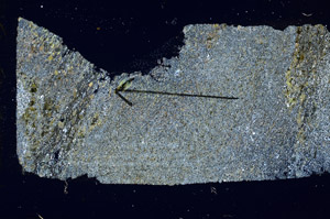 Cross Polarized, S88959