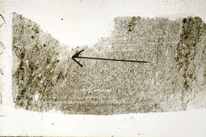 Plane Polarized, S88959