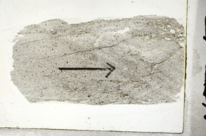 Plane Polarized, S88961