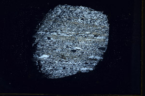 Cross Polarized, S88962