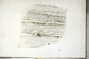 Plane Polarized, S88962