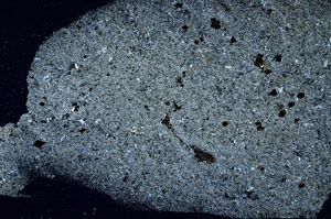 Cross Polarized, S88963