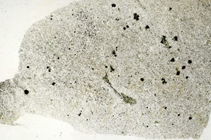 Plane Polarized, S88963