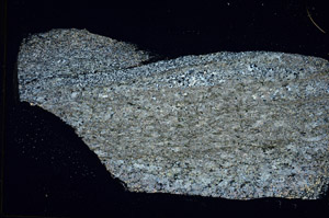 Cross Polarized, S88964