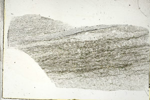 Plane Polarized, S88964