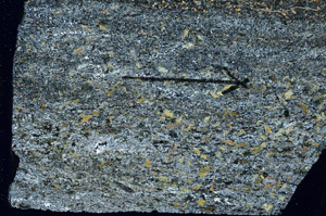 Cross Polarized, S88965