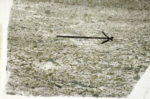 Plane Polarized, S88965