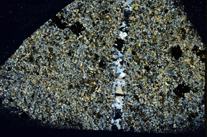 Cross Polarized, S88966
