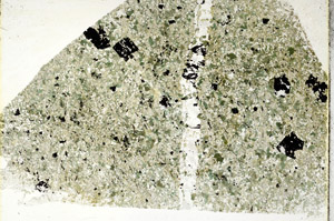 Plane Polarized, S88966