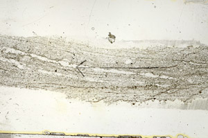Plane Polarized, S88969