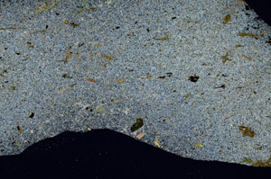 Cross Polarized, S88974