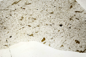 Plane Polarized, S88974