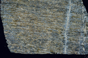 Cross Polarized, S88975