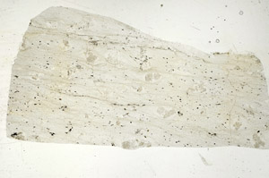 Plane Polarized, S88976