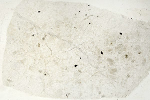 Plane Polarized, S88978