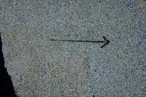 Cross Polarized, S88980