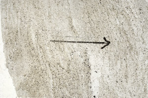 Plane Polarized, S88980