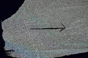 Cross Polarized, S88981