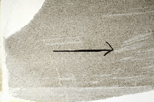 Plane Polarized, S88981