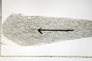 Plane Polarized, S88982