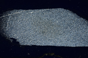 Cross Polarized, S88984