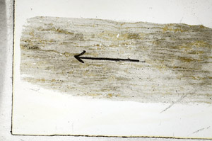 Plane Polarized, S88985